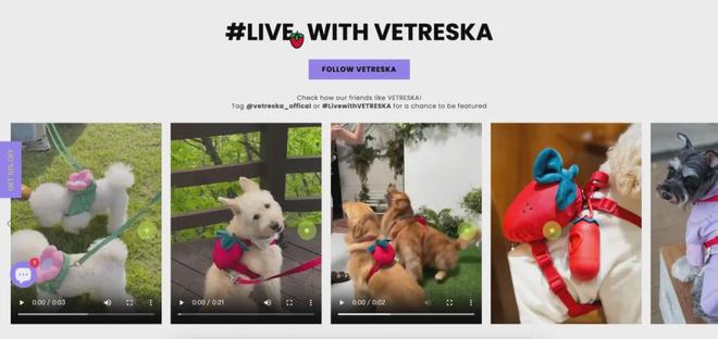 美把160美元的猫爬架卖成了爆款开元棋牌你没听过的上海品牌在北