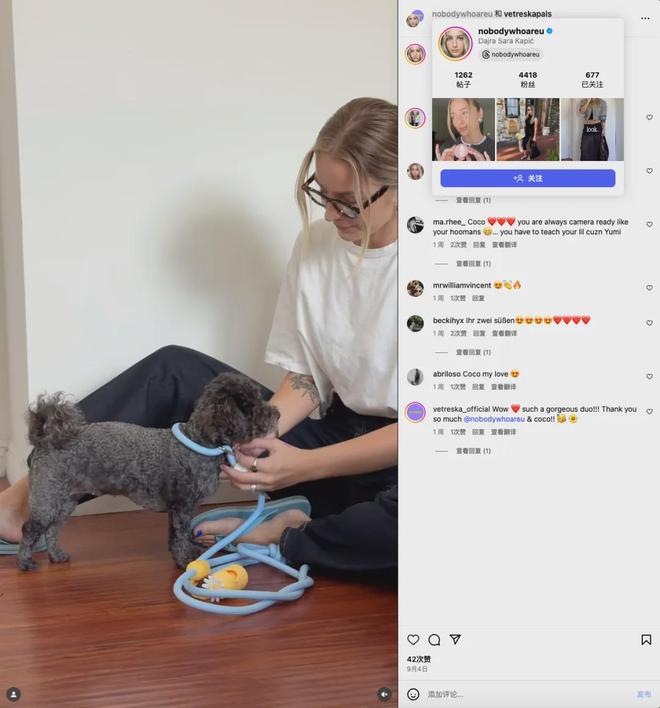 美把160美元的猫爬架卖成了爆款开元棋牌你没听过的上海品牌在北(图2) 美把160美元的猫爬架卖成了爆款开元棋牌你没听过的上海品牌在北(图2)