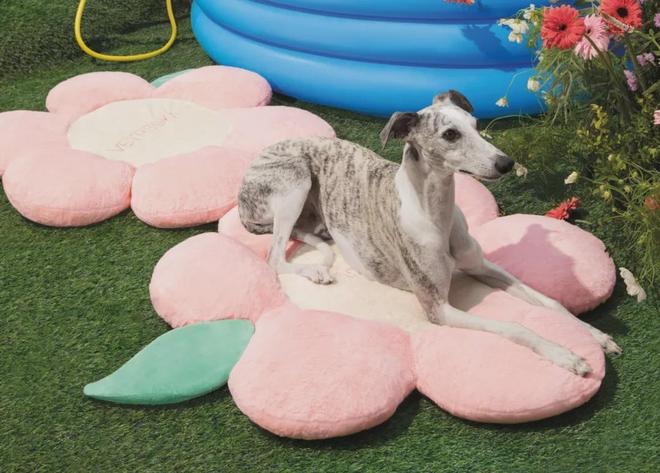 美把160美元的猫爬架卖成了爆款开元棋牌你没听过的上海品牌在北(图7) 美把160美元的猫爬架卖成了爆款开元棋牌你没听过的上海品牌在北(图7)