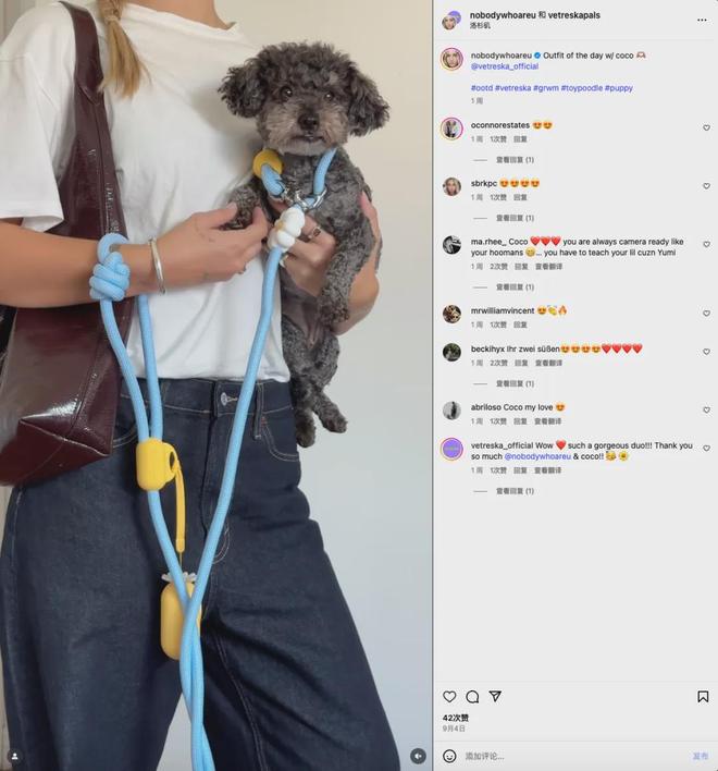 美把160美元的猫爬架卖成了爆款开元棋牌你没听过的上海品牌在北(图8) 美把160美元的猫爬架卖成了爆款开元棋牌你没听过的上海品牌在北(图8)