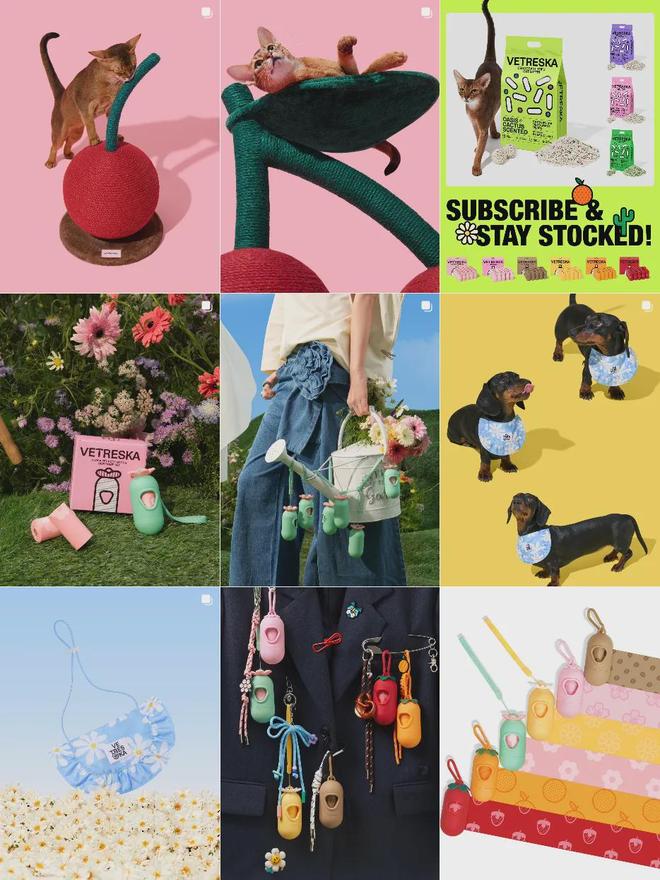 美把160美元的猫爬架卖成了爆款开元棋牌你没听过的上海品牌在北(图6) 美把160美元的猫爬架卖成了爆款开元棋牌你没听过的上海品牌在北(图6)